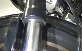 HARLEY FXLRST1920 2022