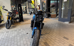 TRIUMPH TRIUMPH  TRIDENT 660 2025 L21U4X