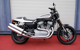 HARLEY XR1200 2008 LA6
