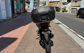 HONDA XL750 TRANSALP  2023 RD16