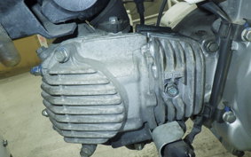 HONDA ｸﾛｽｶﾌﾞ50 2025 AA06