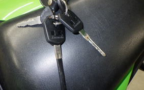 KAWASAKI NINJA 250 SL 2010 BX250A