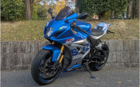 SUZUKI GSX-R1000R ABS 2019 DM11G