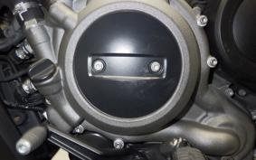 HARLEY RH975S 2024
