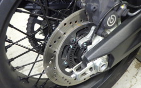 DUCATI SCRAMBLER 2024