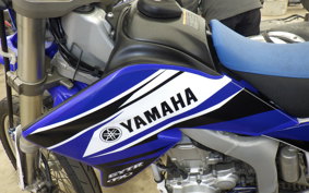 YAMAHA WR250R DG15J