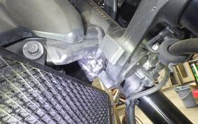 KAWASAKI Z900RS CAFE 2019 ZR900C