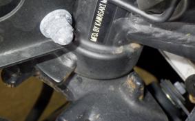 KAWASAKI NINJA 250R EX250K