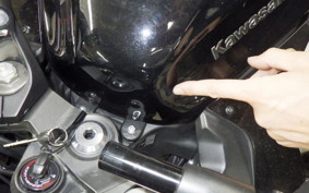 KAWASAKI NINJA 1000SX 2020 ZXT02K