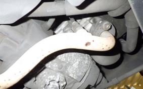 YAMAHA JOG DX-2 1997 SA58J