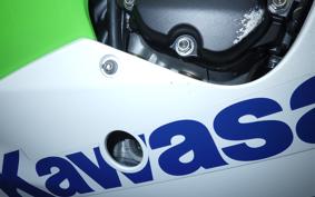 KAWASAKI ZX 10 NINJA ABS 2024 ZXT02L