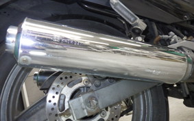 KAWASAKI ZZ-R250 2006 EX250H