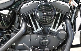 HARLEY XL1200NS 2018 LP3