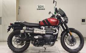 TRIUMPH SCRAMBLER 900 2023