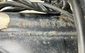 YAMAHA VIRAGO 250 3DM