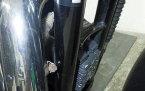 HARLEY XL883N 2013