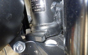 TRIUMPH TRIDENT 660 2021