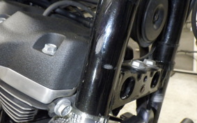 HARLEY FXBB1750 2019