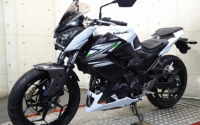 KAWASAKI Z250 ER250C