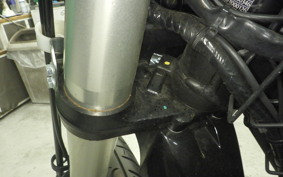 KAWASAKI KLX230 SM 2021 LX230A