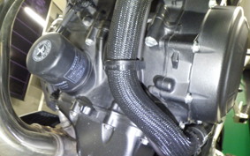 HONDA NX400 2024 NC65