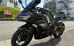 KAWASAKI NINJA 250 EX250P