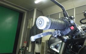 TRIUMPH SPEED TWIN 900 2022