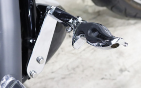 HARLEY FXDF 2009 GY4