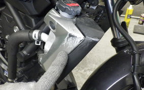 YAMAHA MT-25 1998 RG10J