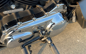 HARLEY XL1200XS 2018 LR3