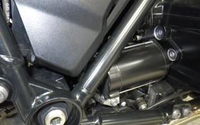 BMW R1250R 2019