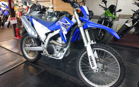 YAMAHA WR250R DG15J