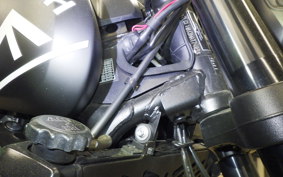 TRIUMPH TRIDENT 660 2021