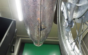 HONDA CB125 K CB125K