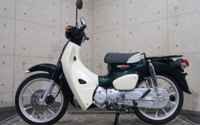HONDA SUPER CUB110 JA59