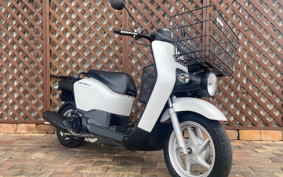 HONDA BENLY 110 Pro JA09