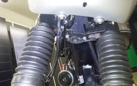 KAWASAKI W800 CAFE 2019 EJ800B