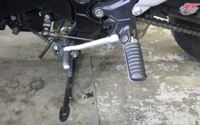 KAWASAKI Z900RS 2024 ZR900K