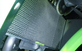 KAWASAKI NINJA 250 SL