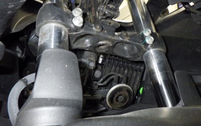 SUZUKI ｼﾞｸｻｰ250SF 2021 ED22Y