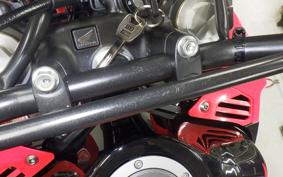 HONDA CRF250 RALLY
