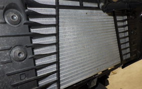 YAMAHA MT-25 A 2016 RG74J