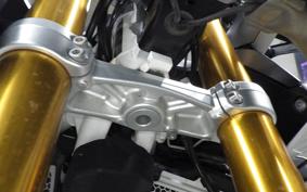TRIUMPH TIGER 900 RALLY PRO 2022