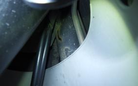 HONDA DIO GEN 3 2011 AF34