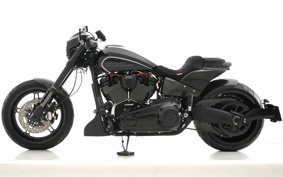 HARLEY FXDRS 2020 YVK