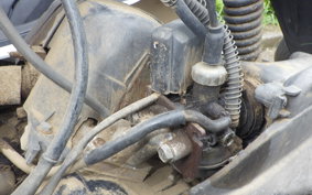 HONDA G' 2006 AF23