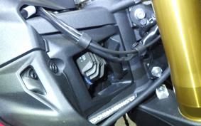 DUCATI パニガーレV2S 2025