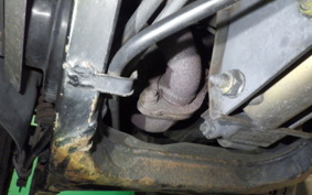 HONDA GYRO UP