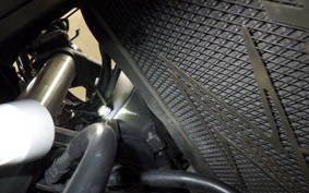 KAWASAKI NINJA 1000 2013