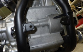 YAMAHA WR250X 2020 DG15J